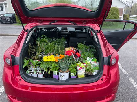 Choosing the Right Plants for Your Vego Garden® Raised Beds