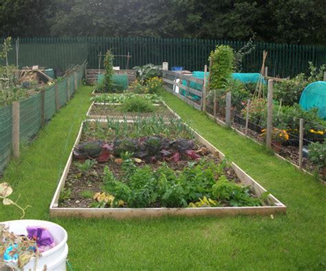 I personal a bit of land which is classed as greenbelt allotment ...