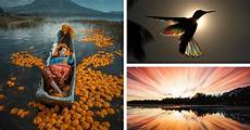 Best Photo by Best Of 2019 Top 50 Photographs From Around The World Best Photo