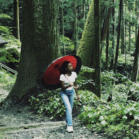 Japan Mao 的图像结果