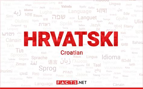 Croatian Language