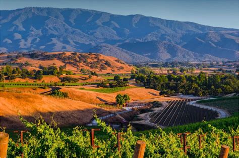 Crown Point Vineyards | Visit The Santa Ynez Valley