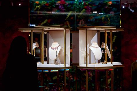 bingo101 vip program,Designed for our most devoted players