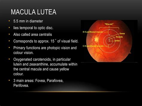 Anatomy of Retina and Visual pathway.pptx