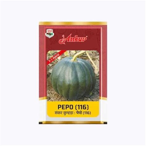 Buy Ankur Pepo (116) F1 Hybrid Pumpkin Seeds Online at Best Price ...