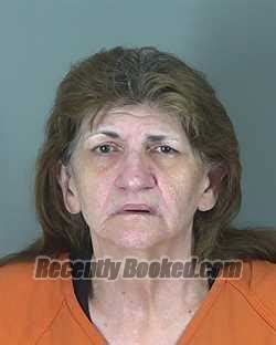 Recent Booking / Mugshot for CARRIE CHAMBERS in Spartanburg County ...