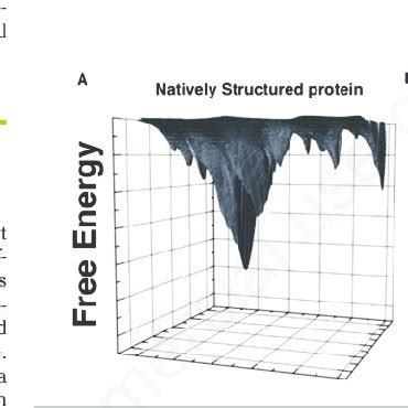 Protein Evolution Landscape 的图像结果