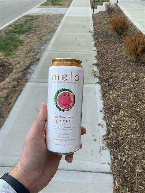 Watermelon + Ginger | Mela Water | Watermelon Water | Watermelon Juice ...