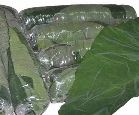 ARGHYA ENTERPRISES (UK) LIMITED