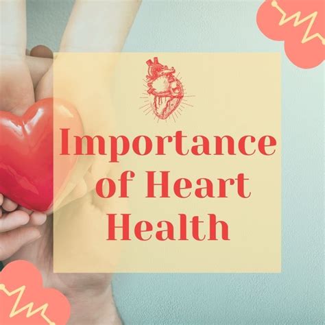 Understanding the Importance of Heart Health