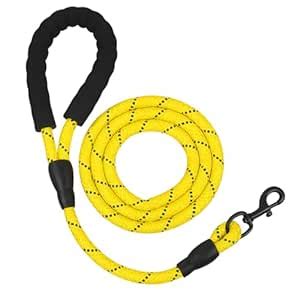 Pets One 5 Ft Strong Pet Dog Leash with Soft Padded Handle,Highly ...