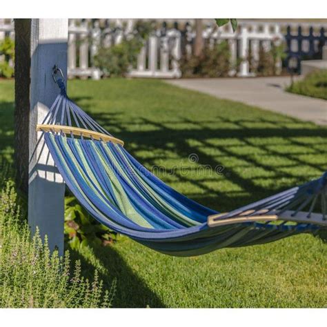 Hammock Swing – Medilab India