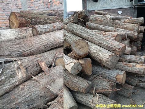 【做木材生意 貿易公司起名字】木業公司起名字 |木材產品進出口公司取名字 |給木材公司起名大全 | - 紫薇斗數社