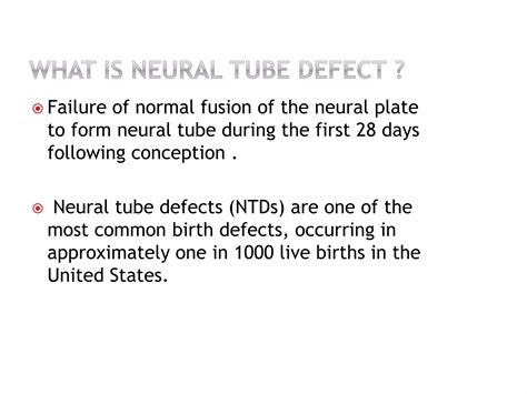 Image result for Neural Tube Defects Causes