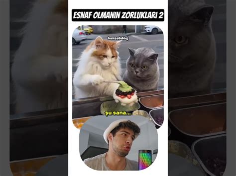 Turkey — YouTube Trending and popular videos today | youtube.trends24.in