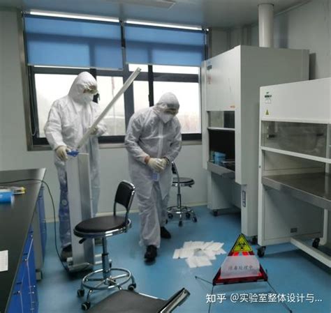 Image Classification Using Machine Learning Thesis 的图像结果