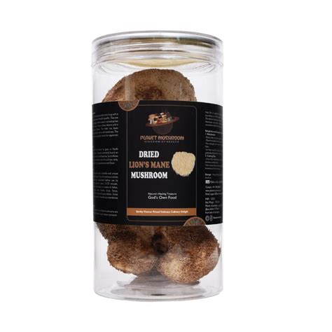 Buy Dry Lion's Mane Mushroom at Best Price | Box of 50 g