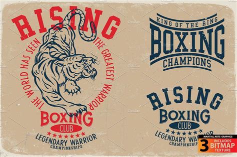 Boxing Logo 的图像结果