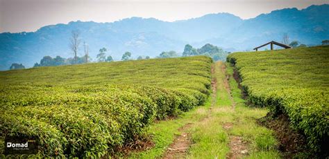 Negative Impact On Local Community 的图像结果