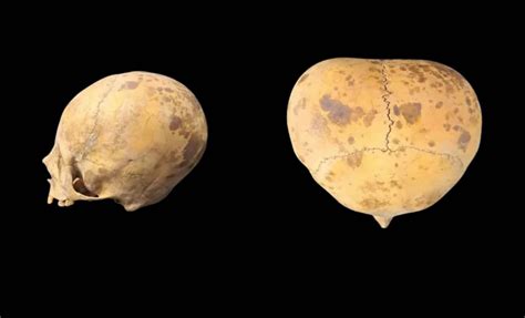 Image result for Alien Skull Found