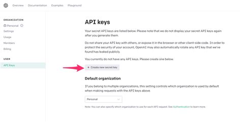 Image result for Get Openai API Key