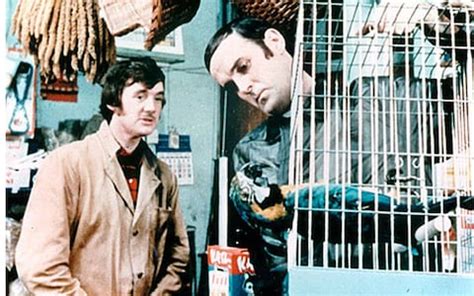 Image result for Monty Python Perroquet
