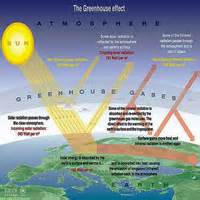 School Project - Carbon Footprint