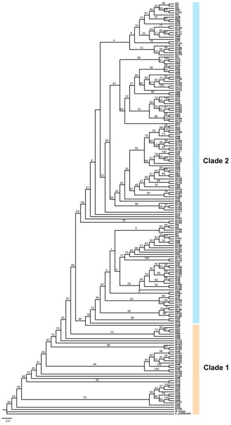 Sustainable Utilization of Insect Biodiversity in Agriculture Forestry ...