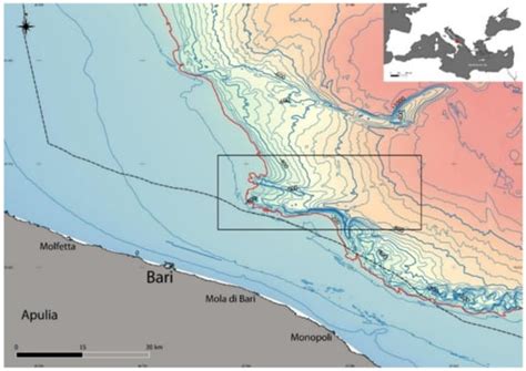 Water | Special Issue : Implementation of Biodiversity and Ecosystem ...