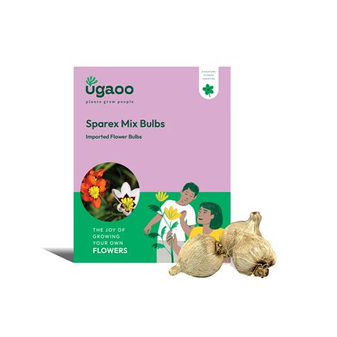 Sparex Mix Bulbs – Ugaoo
