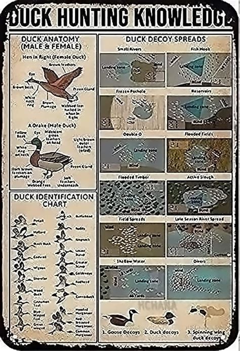 Amazon.com: Duck Hunting Knowledge Metal Tin Sign Duck Identification ...