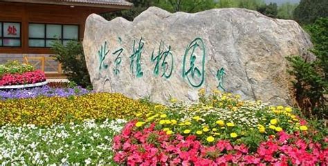 2019北京植物园第31届桃花节游园赏花攻略- 北京本地宝