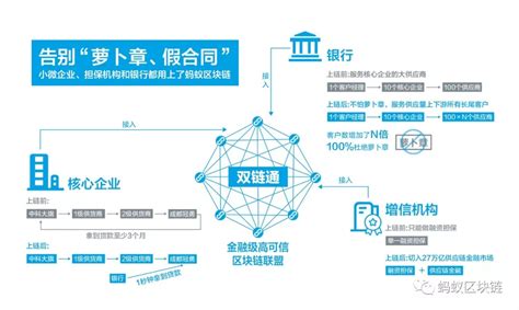 《原创自主区块链平台应用优秀案例》重磅发布-新闻频道-和讯网