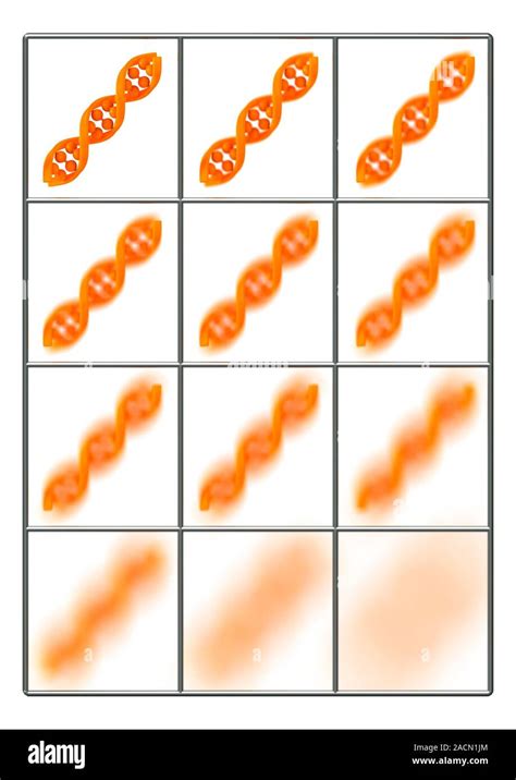 DNA Profiling 的图像结果