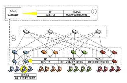 Network Graphics 的图像结果