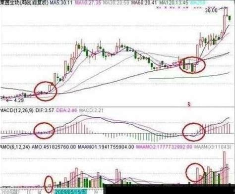 周线选股技巧实例解析_中金在线财经号