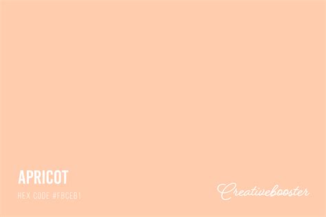 All About Color Apricot (Color Codes, Meaning and Pairings ...