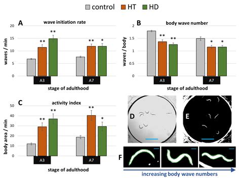 Healthspan Enhancement by Olive Polyphenols in C. elegans Wild Type and ...