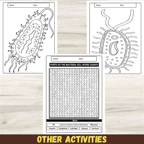Discovering Bacterial Anatomy: Cell Parts Labeling Worksheet | Made By ...
