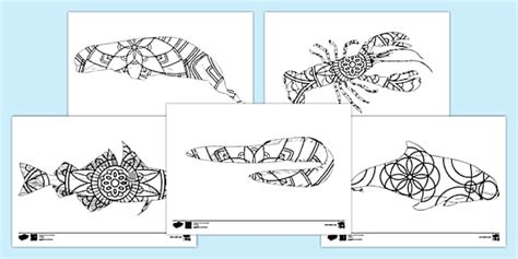 Mandala Sea Animals Colouring Pages - Twinkl - KS2