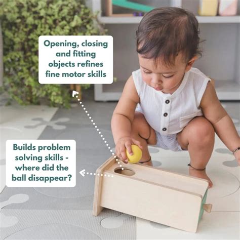 Curious Cub Montessori Box- 9 Months + (Level- 5) — Toycra