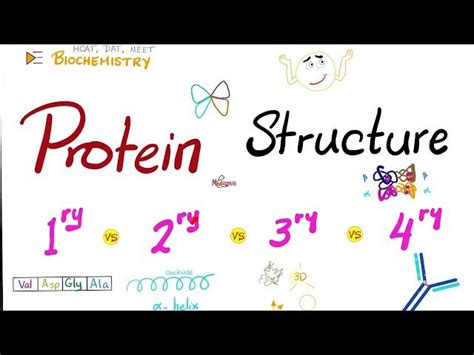 Image result for Protein Structure Types