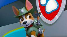 paw patrol malvorlagen tracker paw patrol tracker paw patrol malvorlagen tracker paw patrol tracker