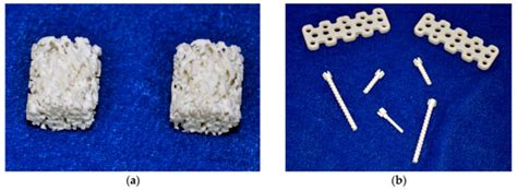 Bionic Design, Materials and Performance of Bone Tissue Scaffolds