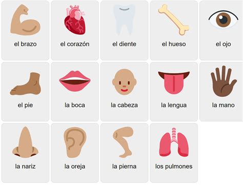 Body Parts in Spanish - Vocabulary Game - Ekvis.com