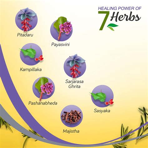 Buy KRACK HEEL REPAIR CREAM TUBE OF 15 G Online & Get Upto 60% OFF at ...