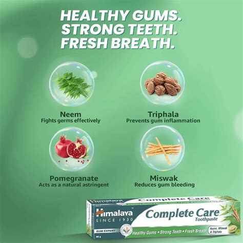 Himalaya Complete Care Herbal Toothpaste, 40 gm Price, Uses, Side ...