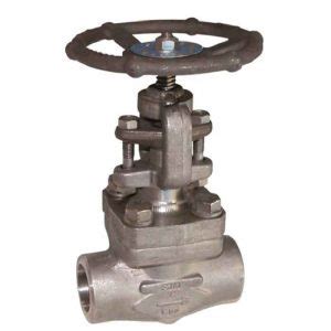 Steam Gate Valve Class #800 Socket weld