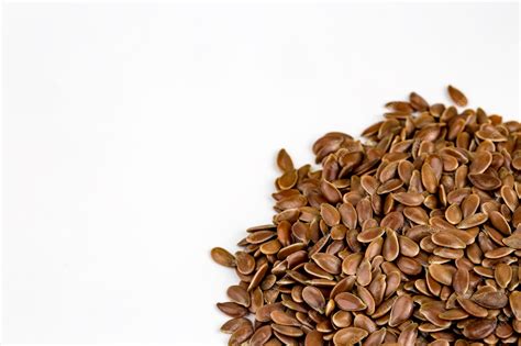 Linum usitatissimum es el nombre científico de la semilla de lino marrón. también conocido como ...