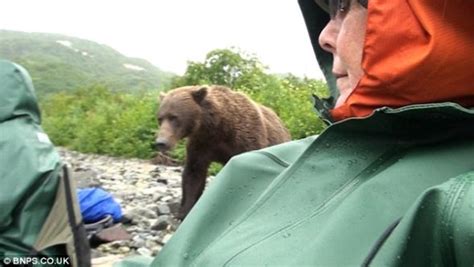 美国野外露营游客遭遇大灰熊 距离不到1米(图)_科学探索_科技时代_新浪网
